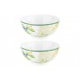Набор 2 салатников 15*15*7 см 700 мл "Лимоны" NEW BONE CHINA