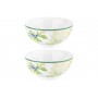 Набор 2 салатников 15*15*7 см 700 мл "Лимоны" NEW BONE CHINA