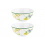 Набор 2 салатников 15*15*7 см 700 мл "Лимоны" NEW BONE CHINA