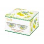 Набор 2 салатников 15*15*7 см 700 мл "Лимоны" NEW BONE CHINA